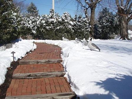 The Lafayette Inn & Restaurant Stanardsville Bagian luar foto